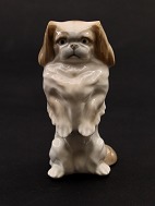 RC pekingeser 1453/1776