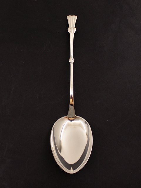 Silver serving  spoon
