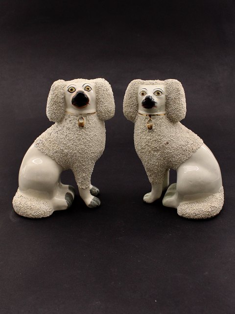 A pair of poodle dogs
