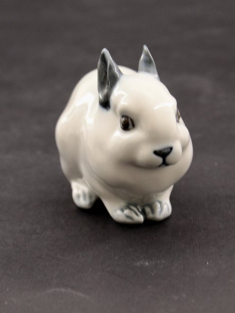 Royal Copenhagen kitten 154